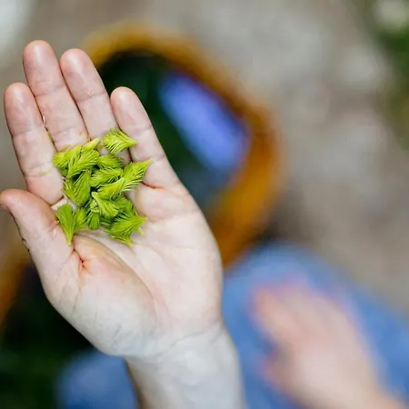 Hotel Hueber Der Wirt