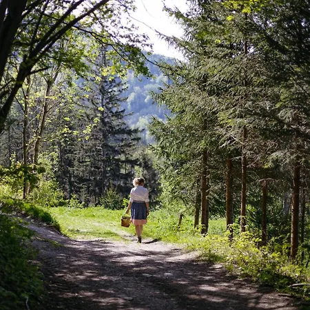 Hotel Hueber Der Wirt 2*