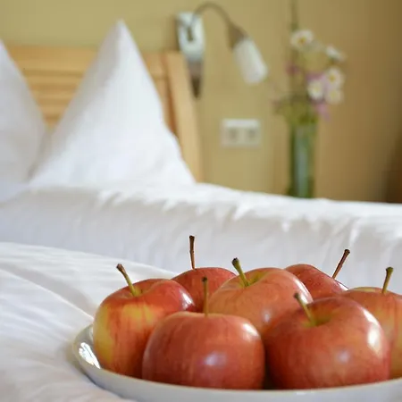 Hotel Hueber Der Wirt 2*