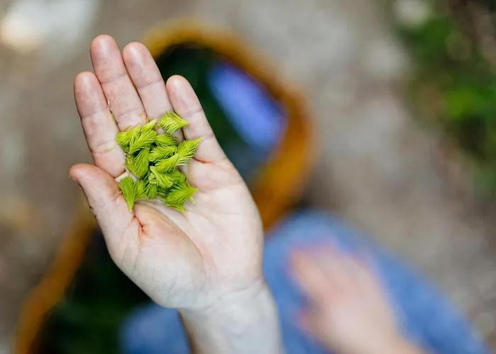 Hotel Hueber Der Wirt