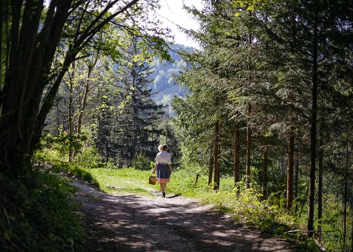 Hotel Hueber Der Wirt 2*